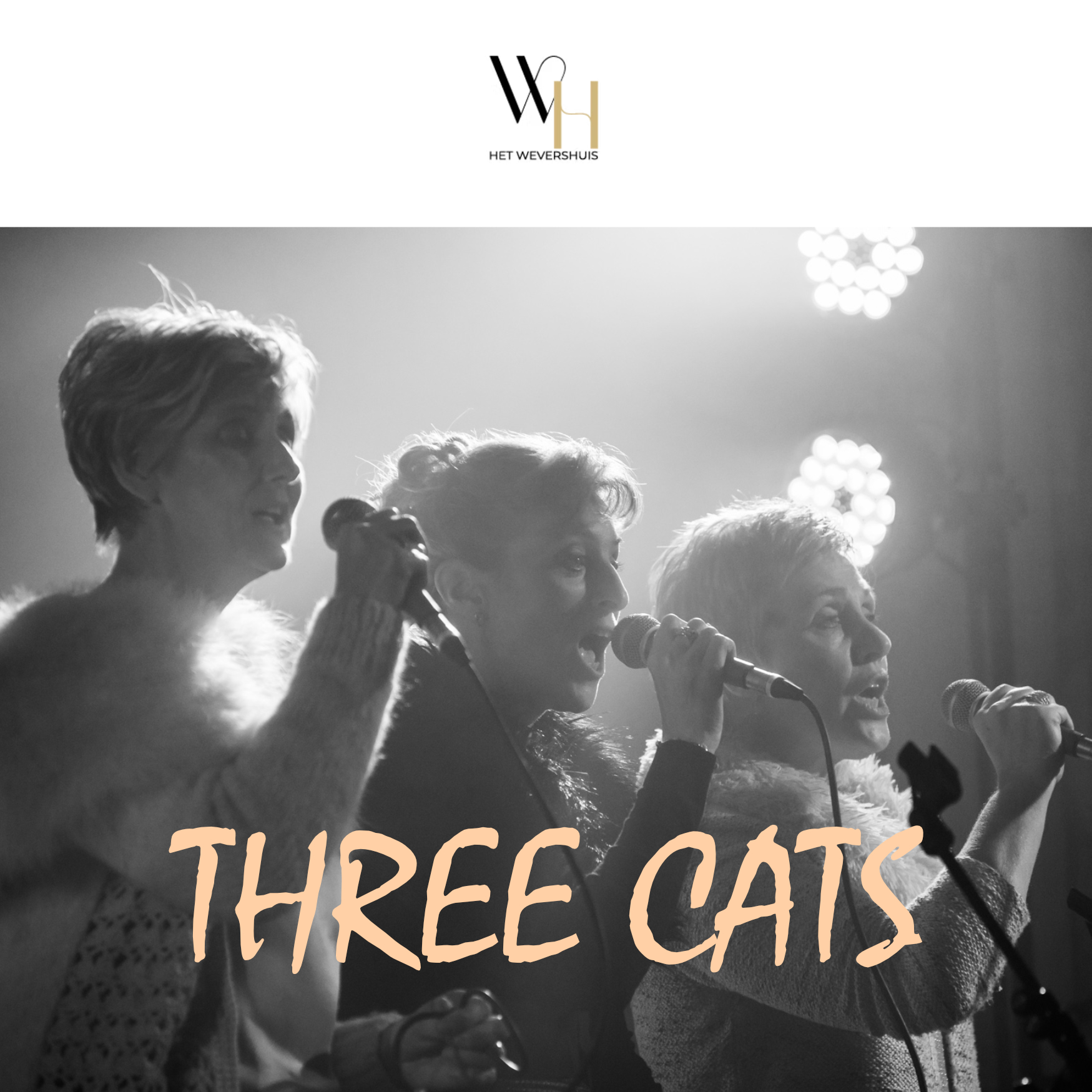 vierkant three cats